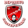 https://img.hfcfpb.com/img/football/team/8dae401493177b32ed12597c1d28f77a.png