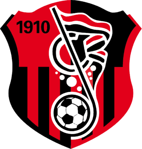 https://img.hfcfpb.com/img/football/team/93e018cff141af47eae05333ac19a65d.png