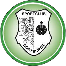 https://img.hfcfpb.com/img/football/team/a2072b17150d002989078355e602e5b8.png