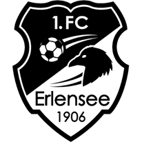 https://img.hfcfpb.com/img/football/team/a23904e7205f9324e45c7fef24a620fd.png